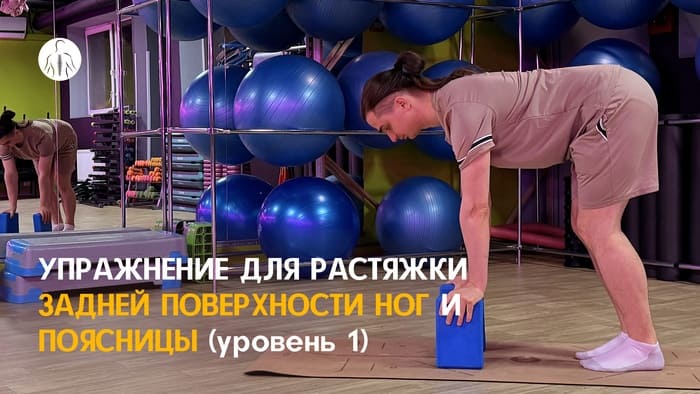Упражнение: растяжка задней поверхности ног с блоками