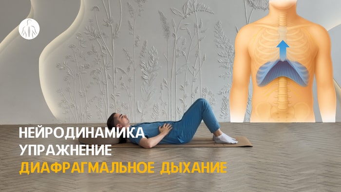 Нейродинамика: упражнение диафрагмальное дыхание, уровень 2