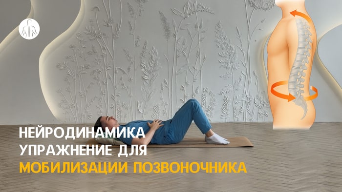 Нейродинамика: упражнение для мобилизации позвоночника, уровень 1